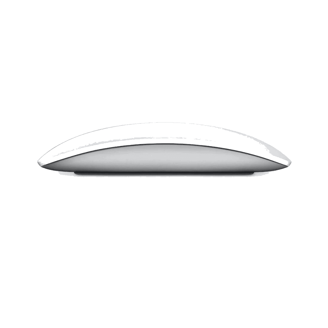 Magic Mouse